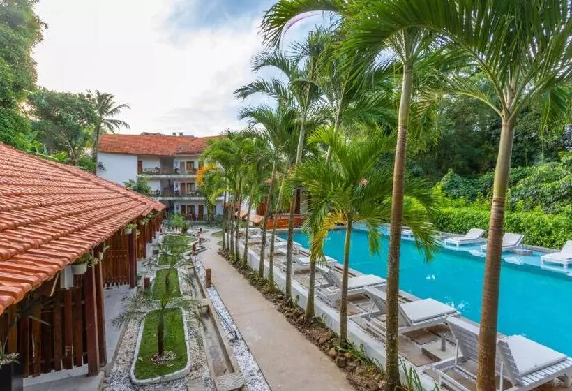 Fotos del hotel Bauhinia Resort & Spa:  17