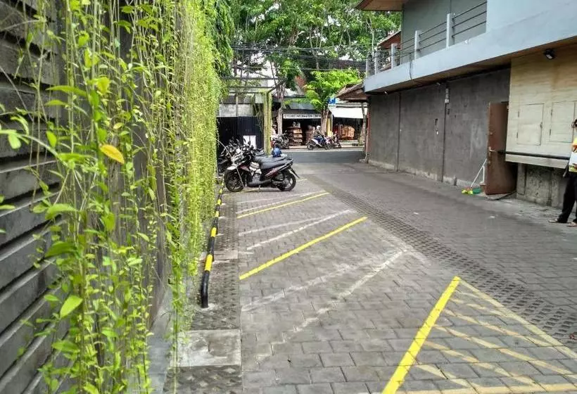 Fotos del hotel Paradiso Beach Inn:  5