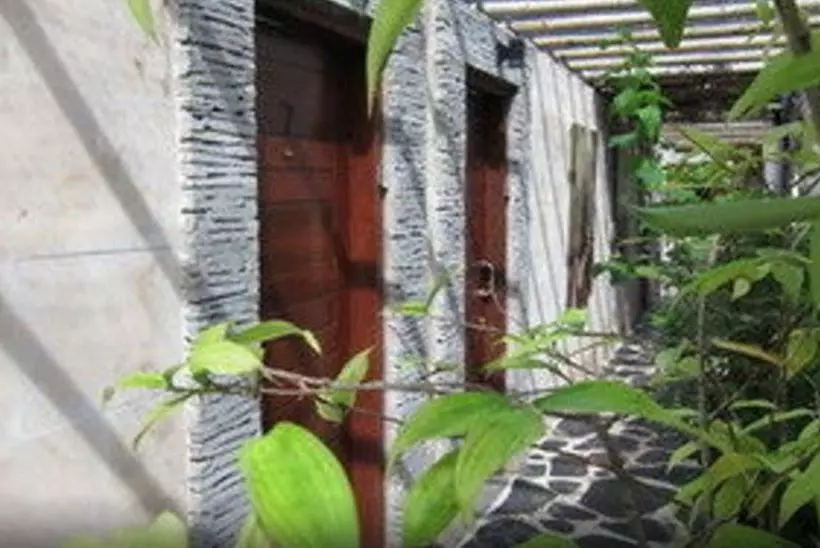 Fotos del hotel Scallywags Gili Air:  7