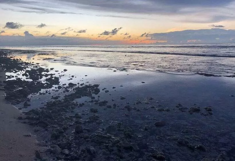 Fotos del hotel Pondok Windy Bungalows:  14