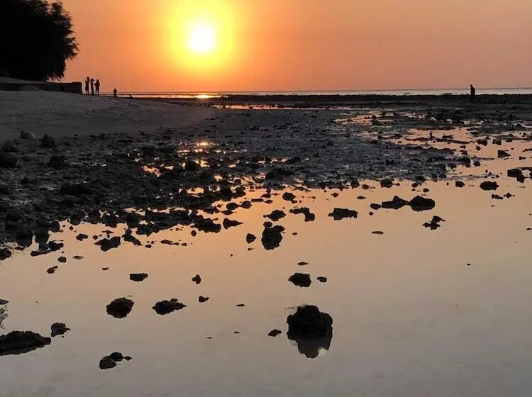 Fotos del hotel Pondok Windy Bungalows:  16