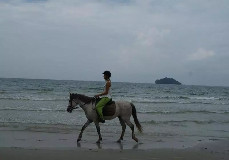 Fotos del hotel Mary Beach Hotel And Resort:  6