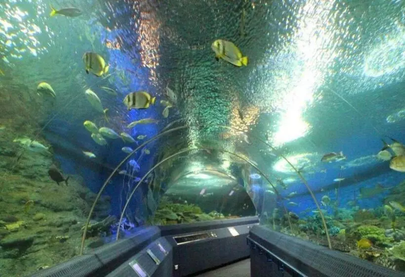 Fotos del hotel Curve Boutique Pattaya:  7