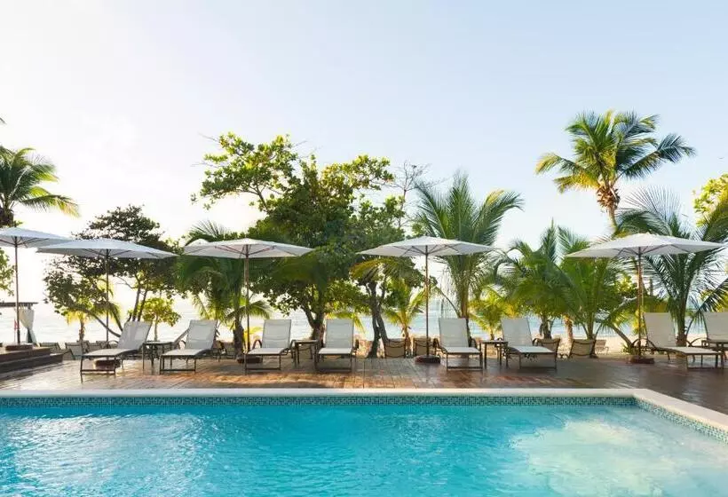 Fotos del hotel Emotions By Hodelpa - Juan Dolio:  56