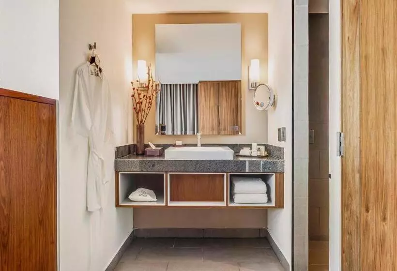 Fotos del hotel Fiesta Americana Monterrey Pabellón M:  10