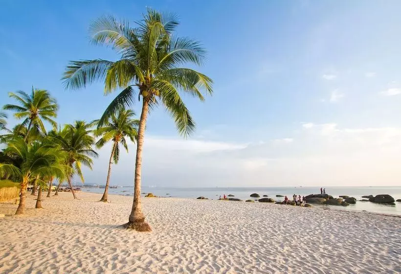 Fotos del hotel My Way Hua Hin Music:  20