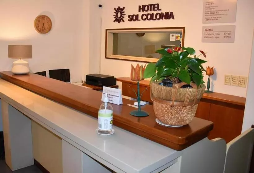 Fotos del hotel Sol Colonia:  2