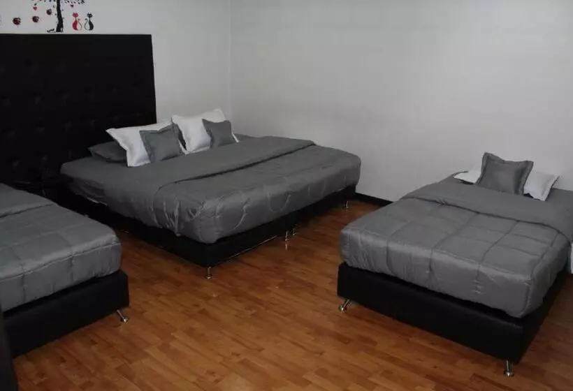 Fotos del hotel Dorado Plaza Bogota:  15