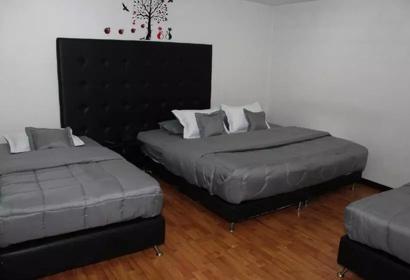 Fotos del hotel Dorado Plaza Bogota:  10