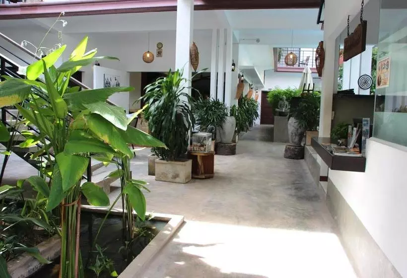 Fotos del hotel Palm Tree Boutique:  11