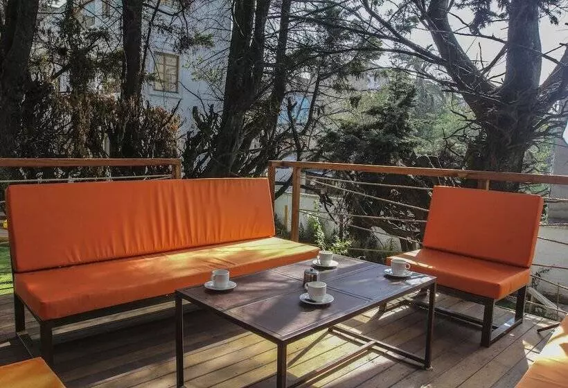 Fotos del hotel Masaya Quito:  9