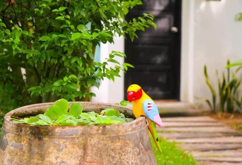 Fotos del hotel Eoutfitting Boutique  Chaingmai:  4