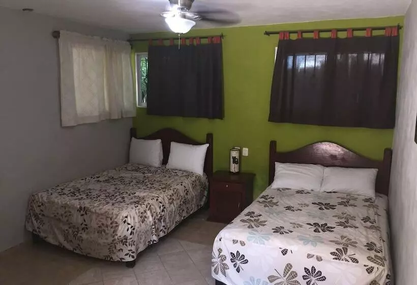 Fotos del hotel Andrea´s Tulum:  2