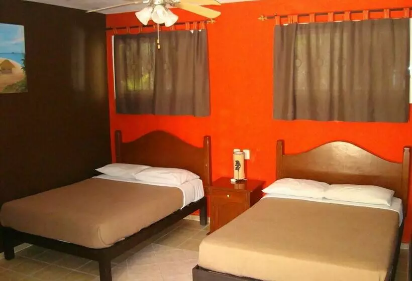 Fotos del hotel Andrea´s Tulum:  9