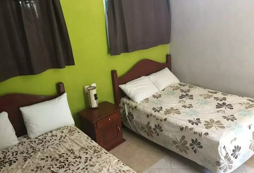 Fotos del hotel Andrea´s Tulum:  21