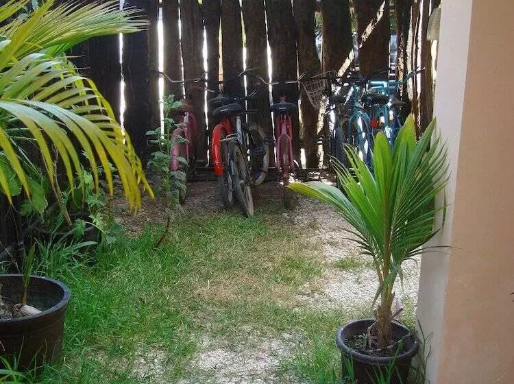 Fotos del hotel Andrea´s Tulum:  11