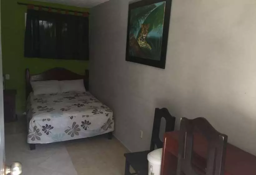 Fotos del hotel Andrea´s Tulum:  20