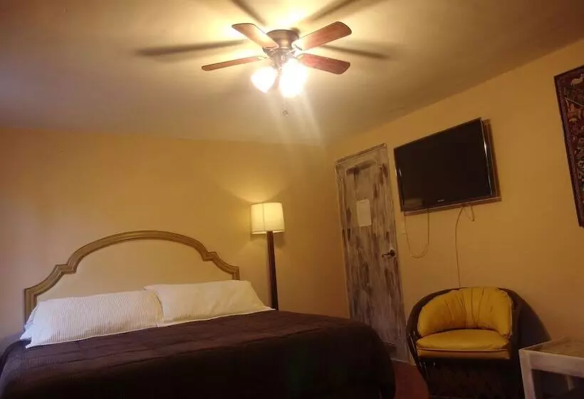 Fotos del hotel Casa De Las Conservas Bed And Breakfast:  20