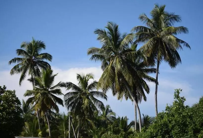 Fotos del hotel Terrace Green  & Spa  Level 1 Safe & Secure:  7