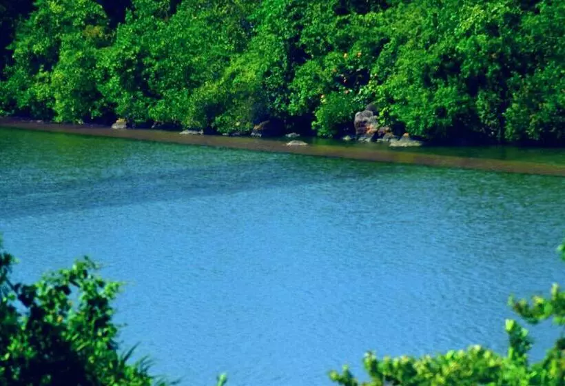 Fotos del hotel Asian Jewel Boutique:  22