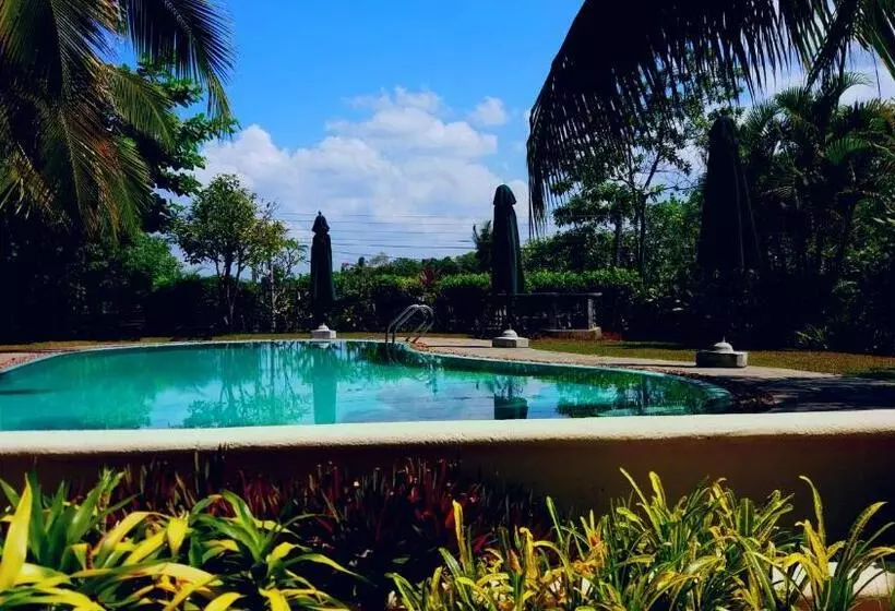 Fotos del hotel Asian Jewel Boutique:  9