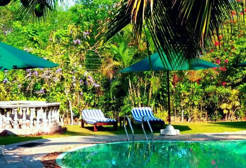 Fotos del hotel Asian Jewel Boutique:  15