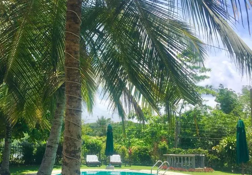 Fotos del hotel Asian Jewel Boutique:  14