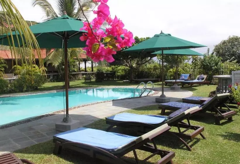 Fotos del hotel Asian Jewel Boutique:  19