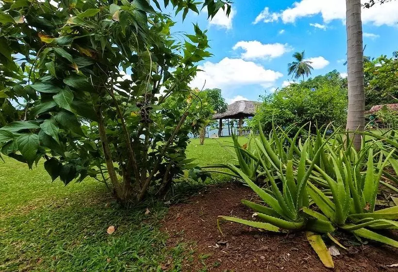 Fotos del hotel Thaulle Resort:  11