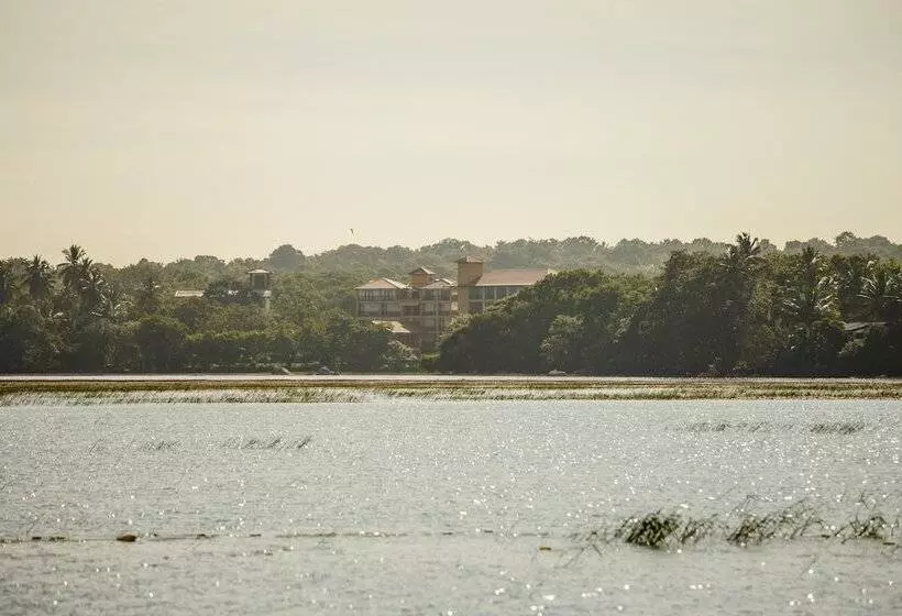 Fotos del hotel Thaulle Resort:  17