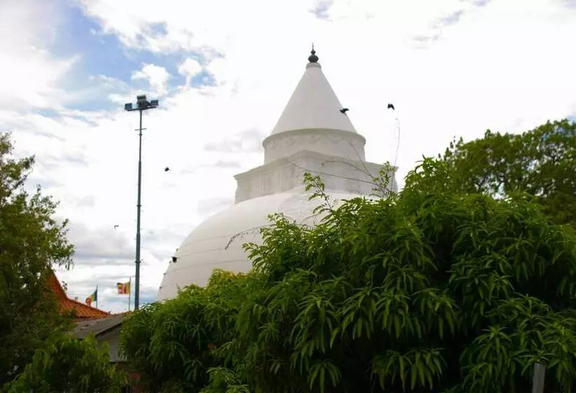 Fotos del hotel Thaulle Resort:  23