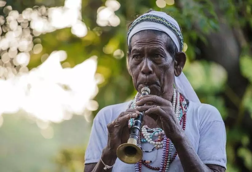 Fotos del hotel Thaulle Resort:  12