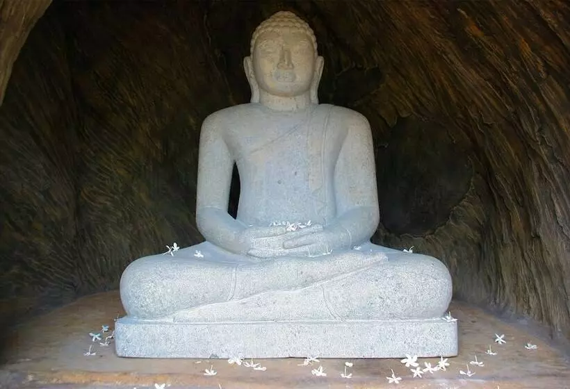 Fotos del hotel Thaulle Resort:  10