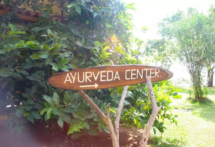 Fotos del hotel Thaulle Resort:  21