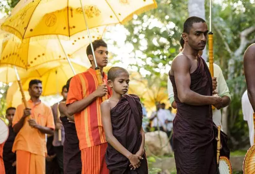 Fotos del hotel Thaulle Resort:  20