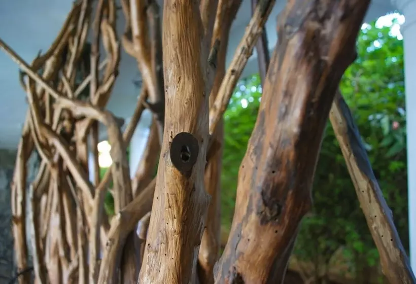 Fotos del hotel Thaulle Resort:  14