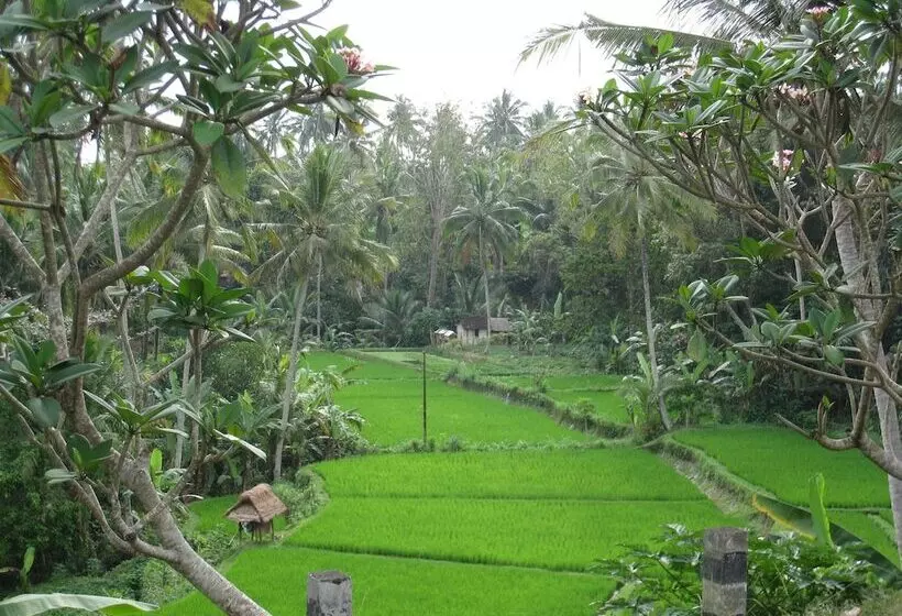 Fotos del hotel Bakung Ubud Resort And Villa:  17