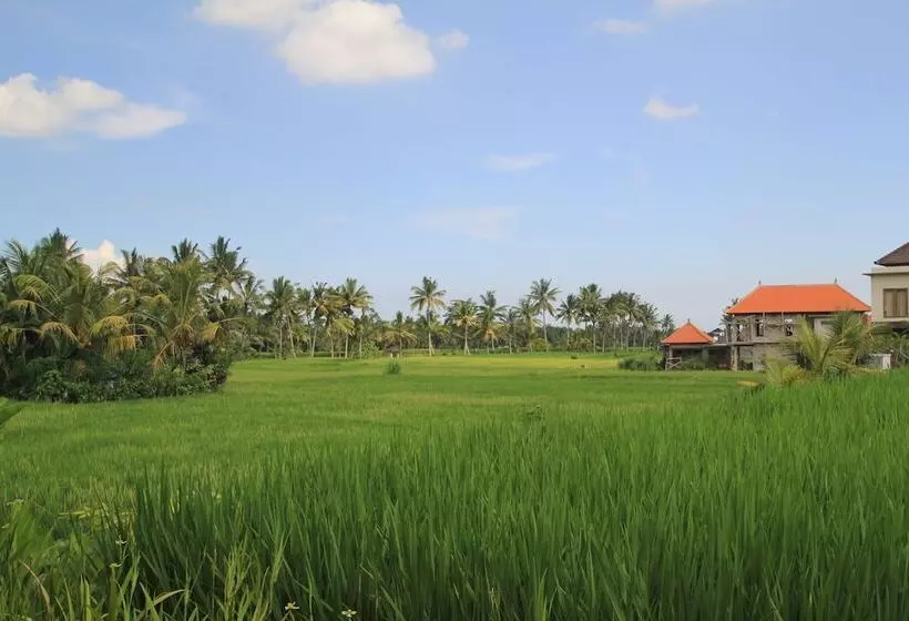 Fotos del hotel Bakung Ubud Resort And Villa:  15