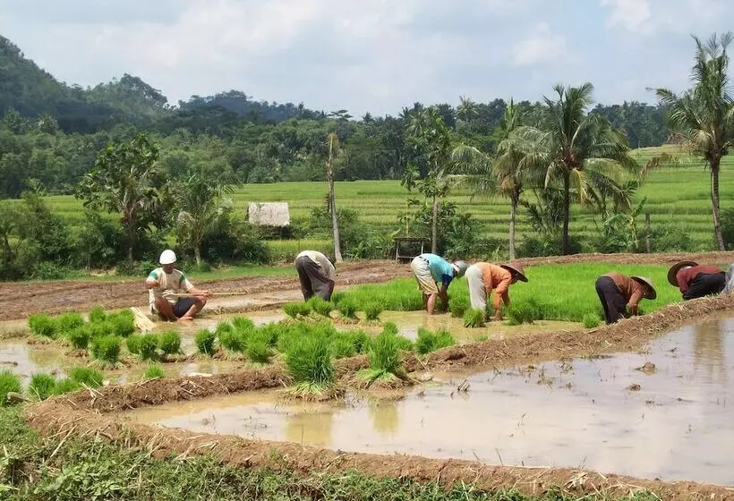 Fotos del hotel Bakung Ubud Resort And Villa:  18