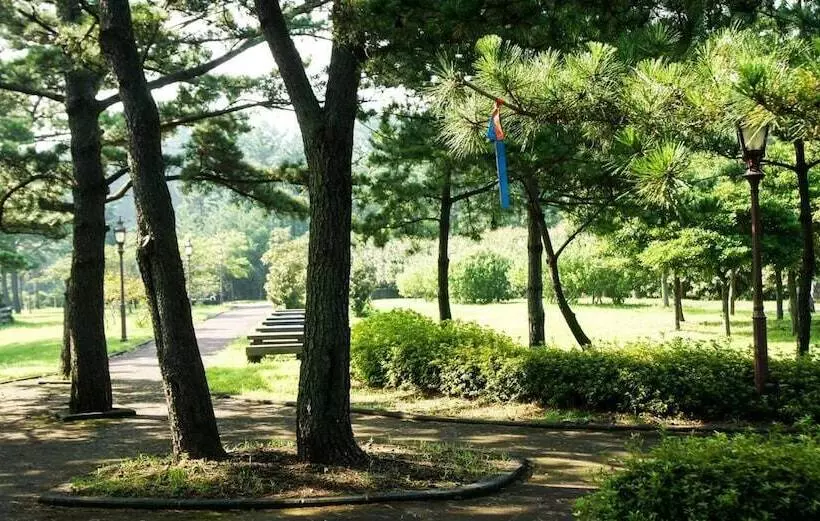 Fotos del hotel Bowoohill:  21