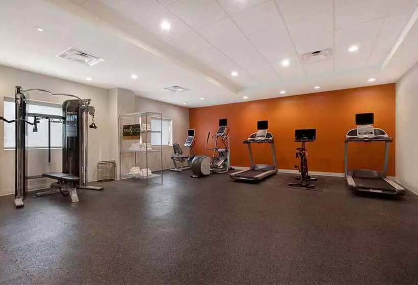 Fotos del hotel Home2 Suites By Hilton Orlando International Drive South:  4