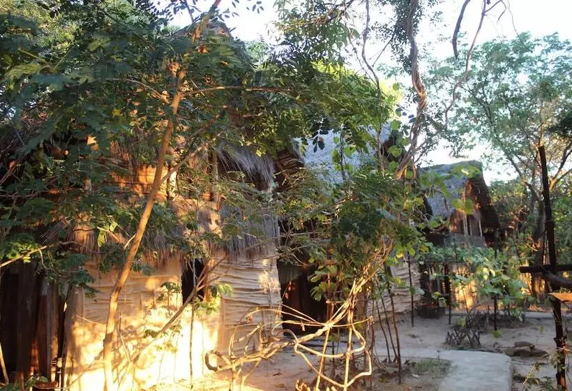 Fotos del hotel Iharana Bush Camp:  10