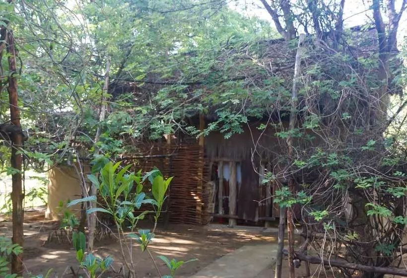 Fotos del hotel Iharana Bush Camp:  18