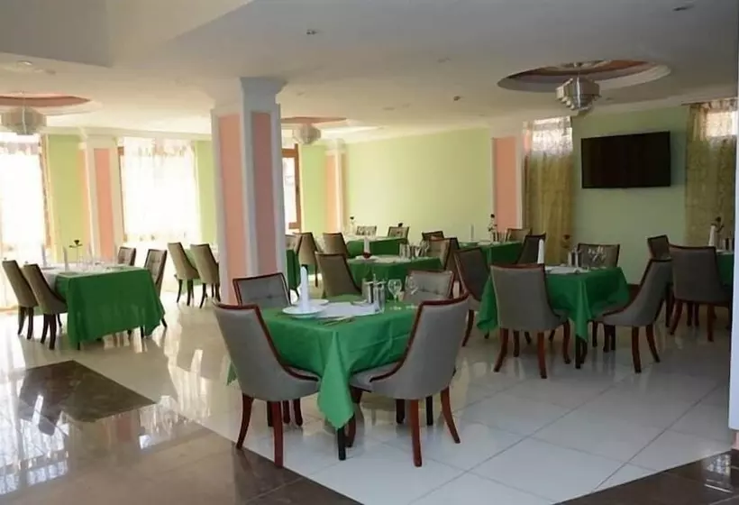 Fotos del hotel Bole Skygate:  19