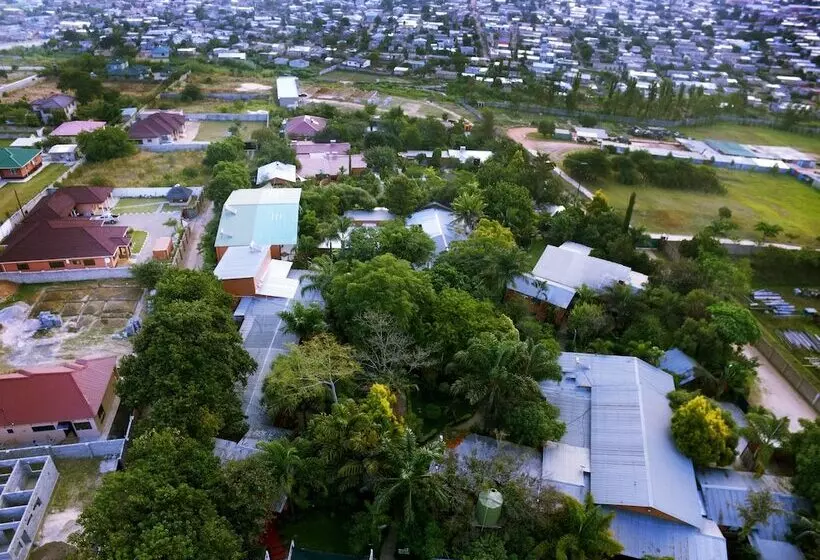 Fotos del hotel Palmwood Lodge:  4