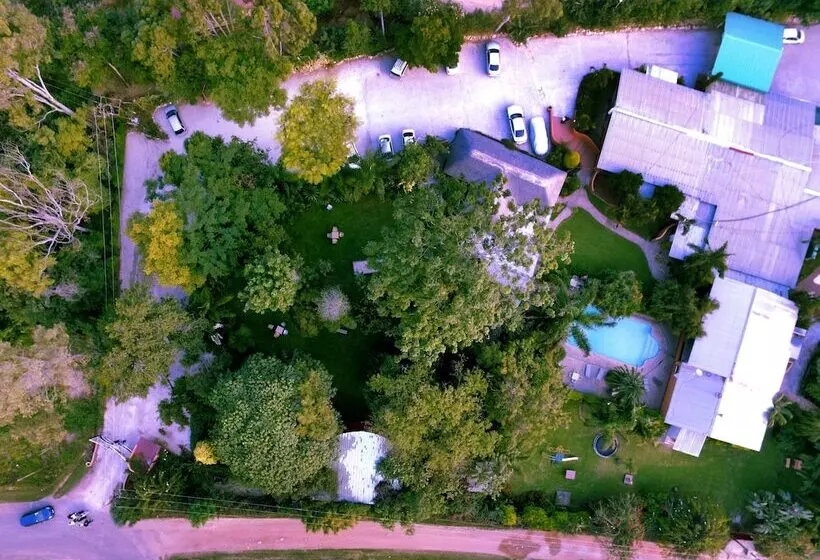 Fotos del hotel Palmwood Lodge:  17