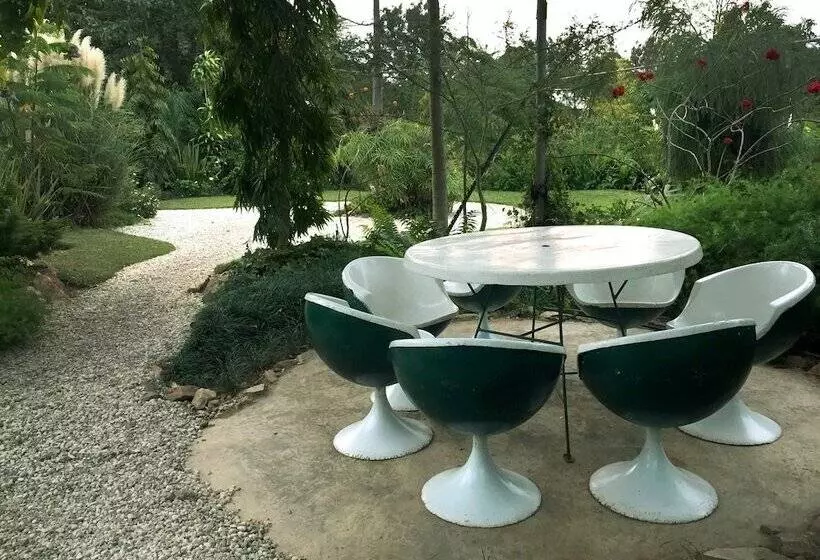 Fotos del hotel Palmwood Lodge:  13