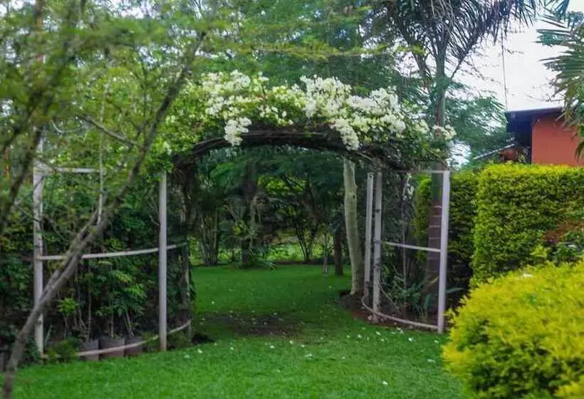 Fotos del hotel Palmwood Lodge:  3