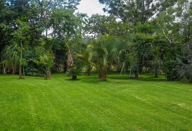 Fotos del hotel Palmwood Lodge:  8