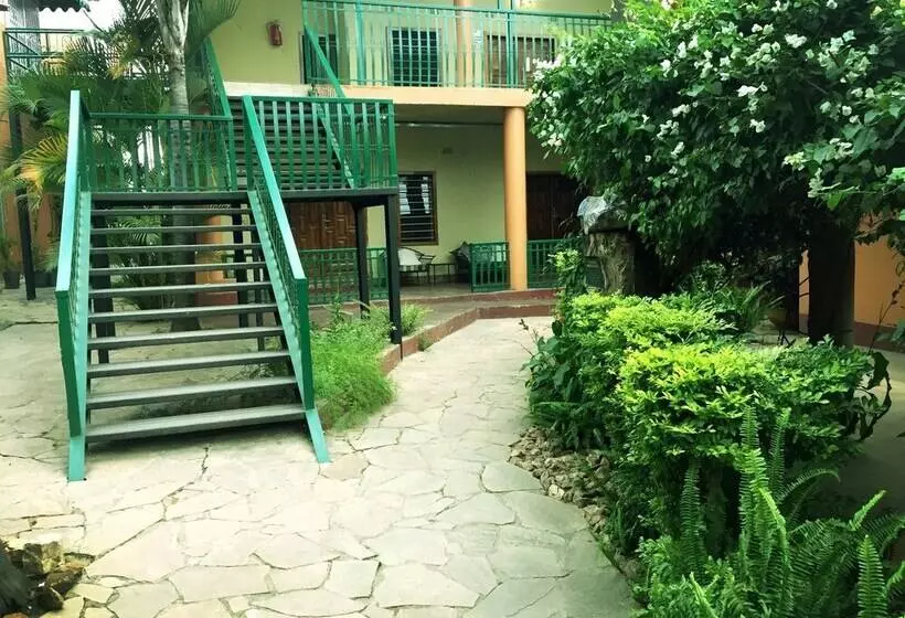 Fotos del hotel Palmwood Lodge:  18